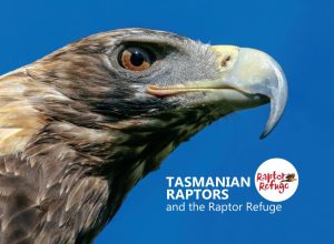 Tasmanian-Raptors-book-cover-1024x792